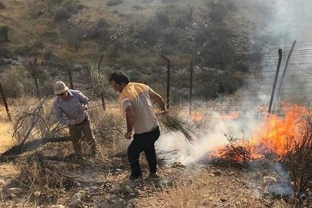 عمدی بودن 4 مورد از آتش سوزی بوستان های تهران، برخورد شدید با عوامل آتش سوزی