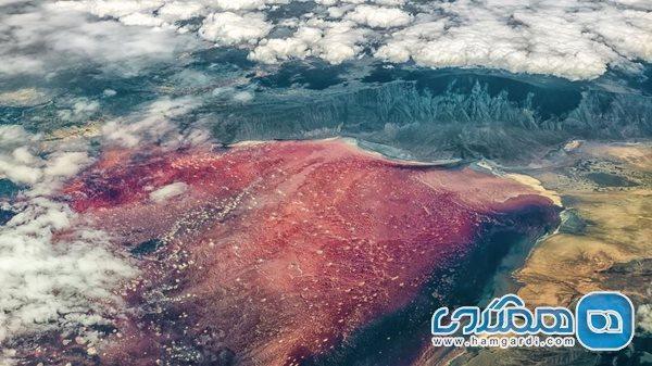 دریاچه نطرون ، خطرناک ترین دریاچه دنیا دریاچه نطرون ، خطرناک ترین دریاچه جهان