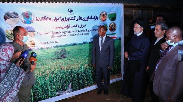 تصاویر کاشت نخستین نهال فراسرزمینی ایران در مزارع ایرانی در مرکز اوگاندا به دست دکتر رئیسی